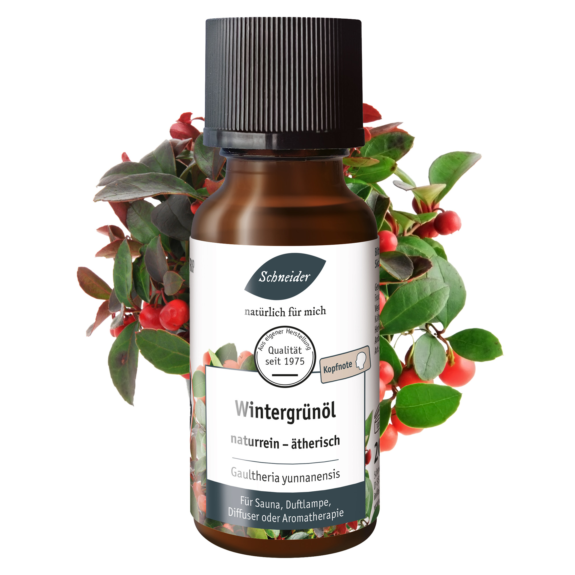Ätherisches Öl Wintergrün 20ml