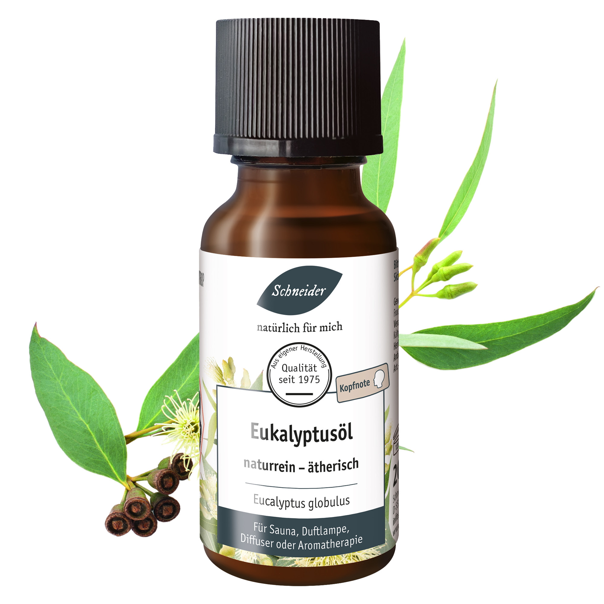 Ätherisches Öl Eukalyptus 20ml