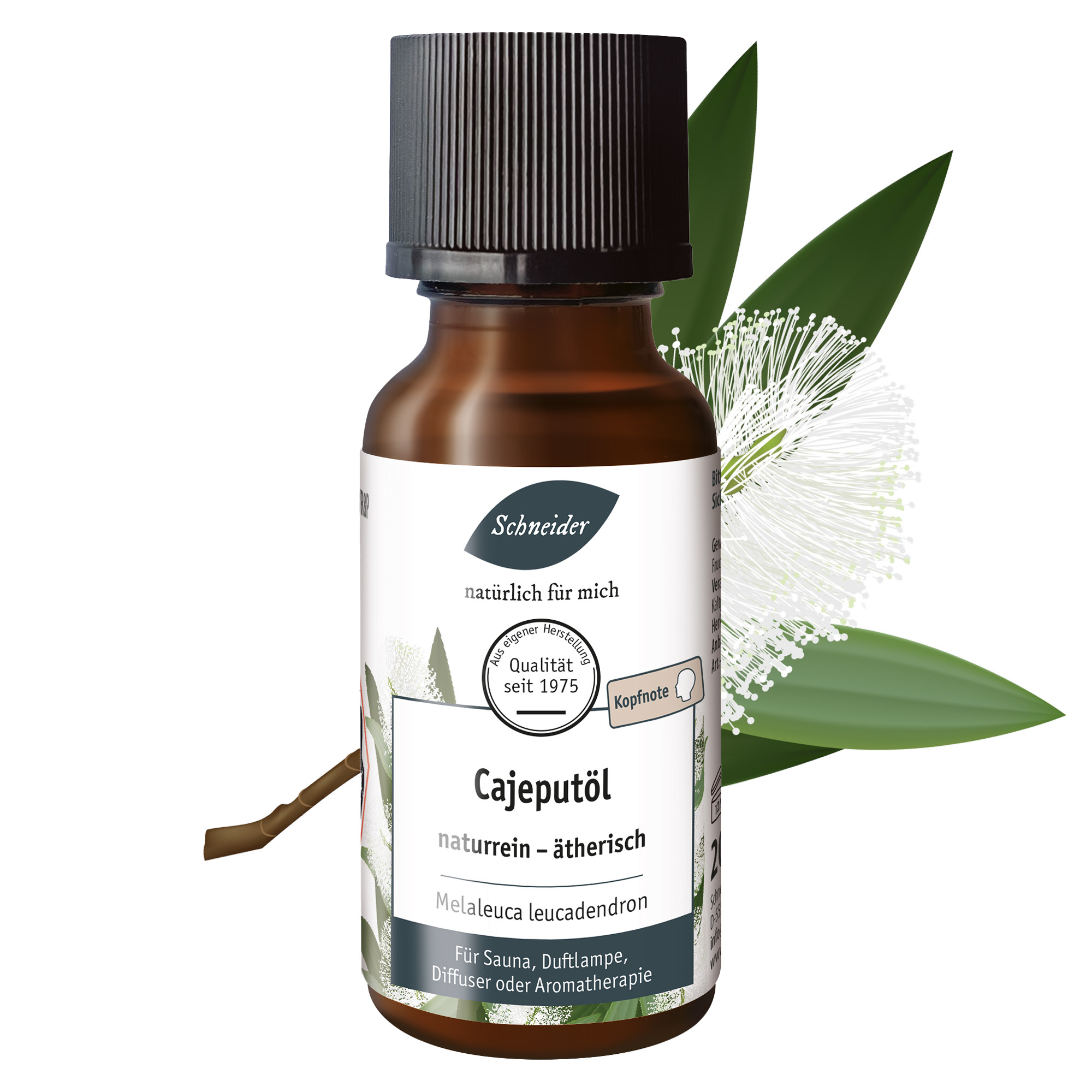 Ätherisches Öl Cajeput 20ml