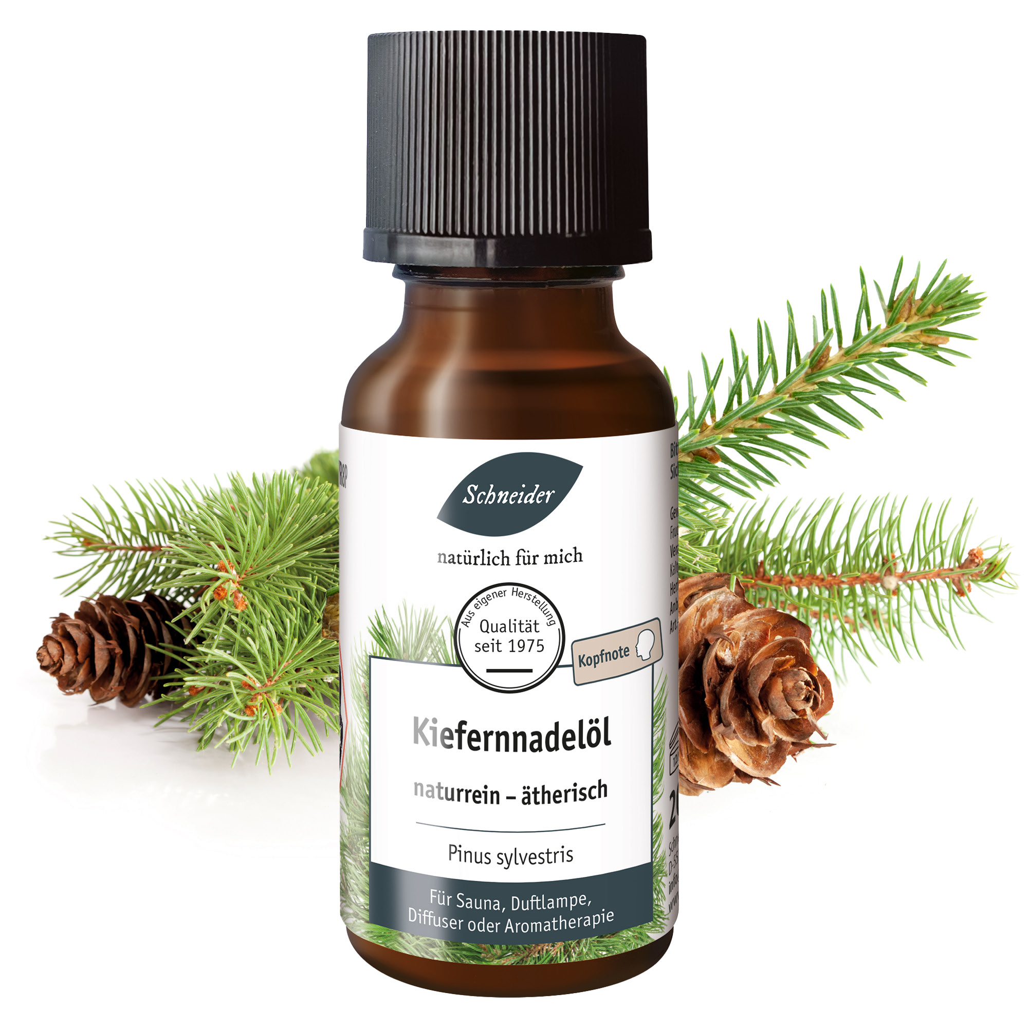 Ätherisches Öl Kiefernadel 20ml